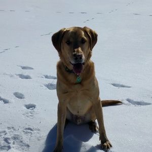 Meet your Posher, Katelyn